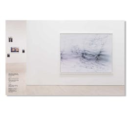 TO LOOK WITHOUT FEAR